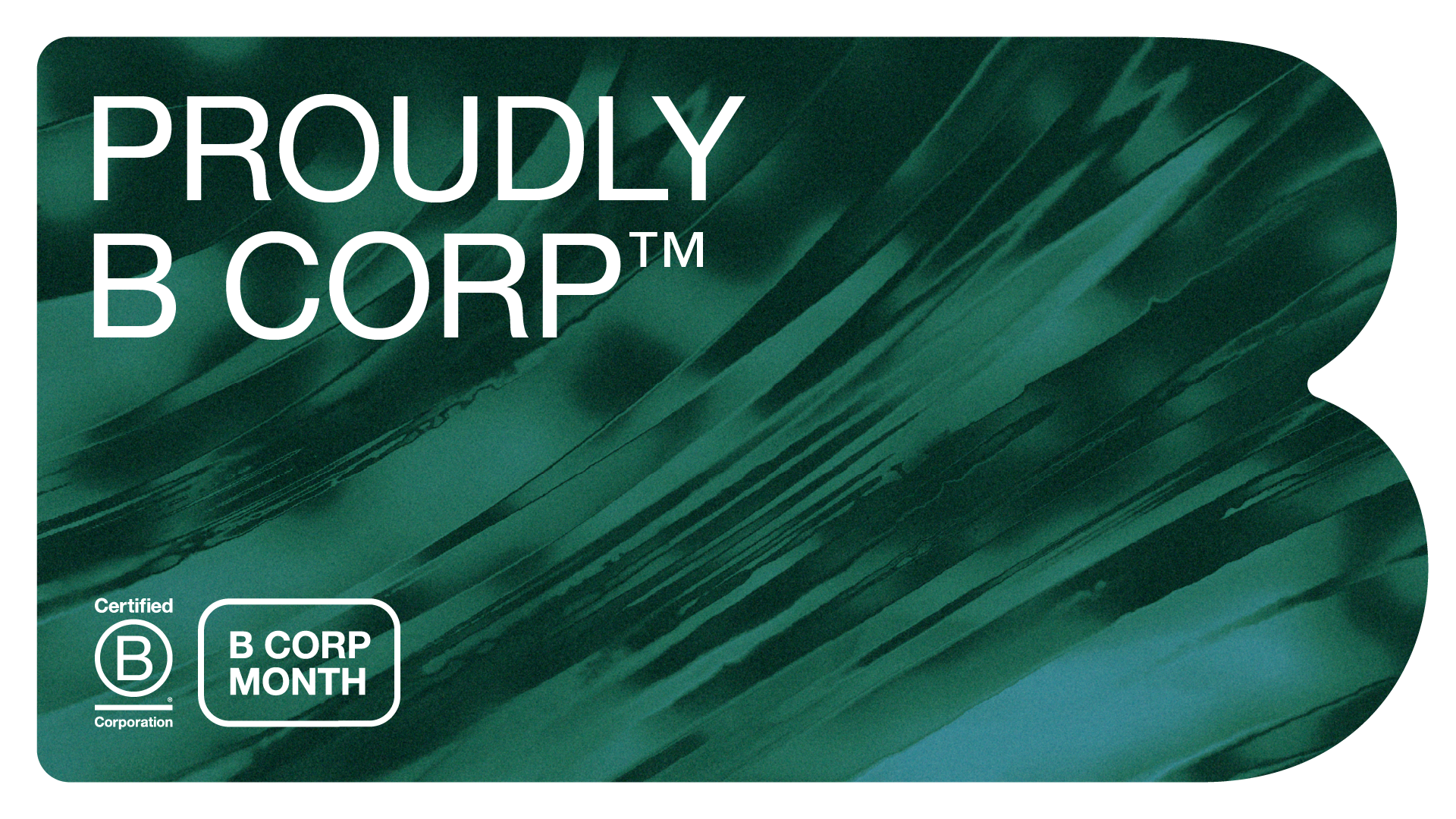 Why our B Corp certification matters to you